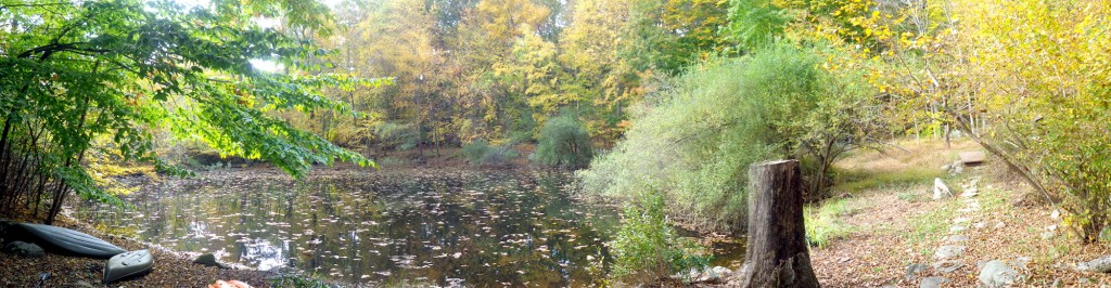 The pond in October 2013